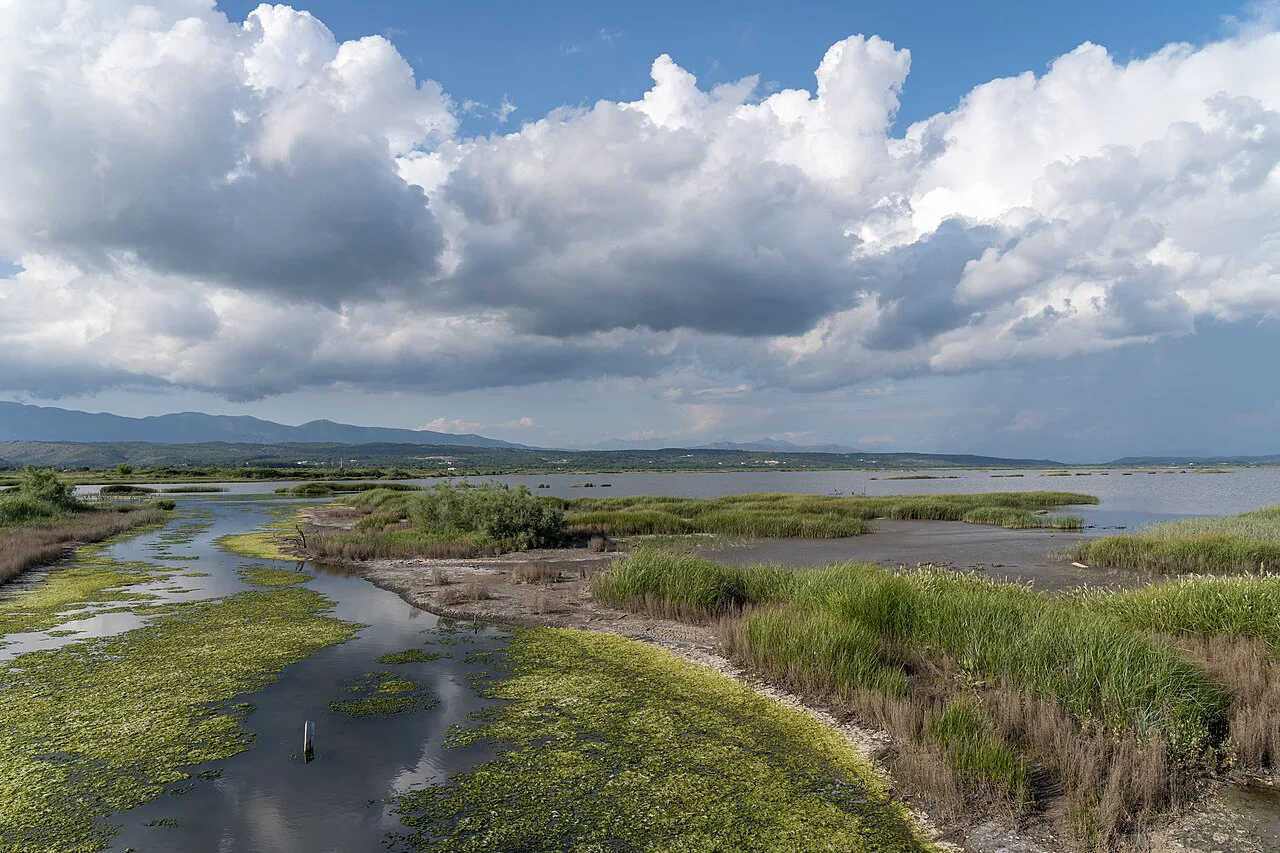 Wetlands of the Ulcinj Salina, the former salt pans near Ulcinj.
