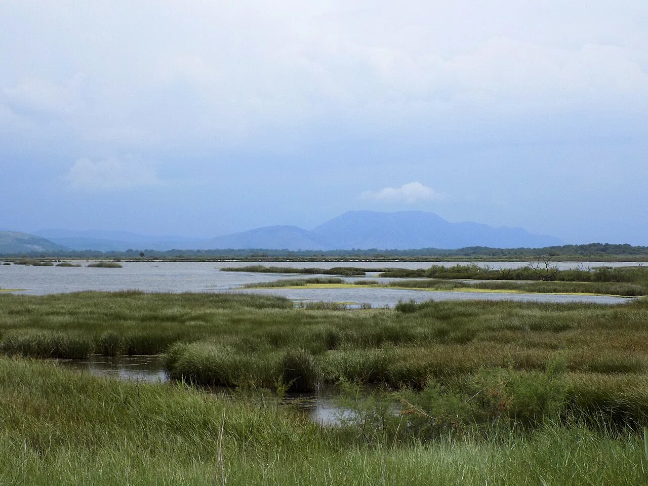 Wetland at Ulcinj Salinas, an important bird area near Ulcinj.