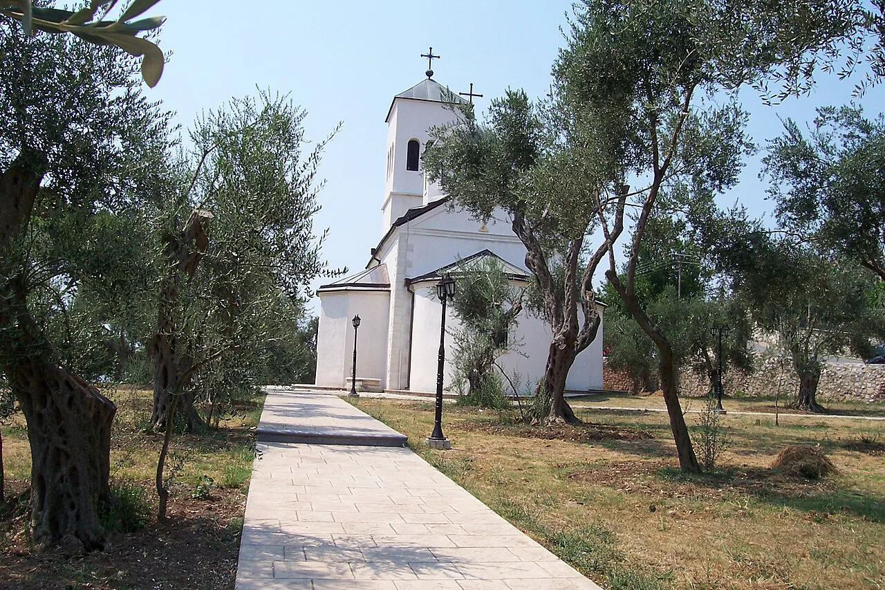 Olive trees in the grounds of the Orthodox church in Ulcinj