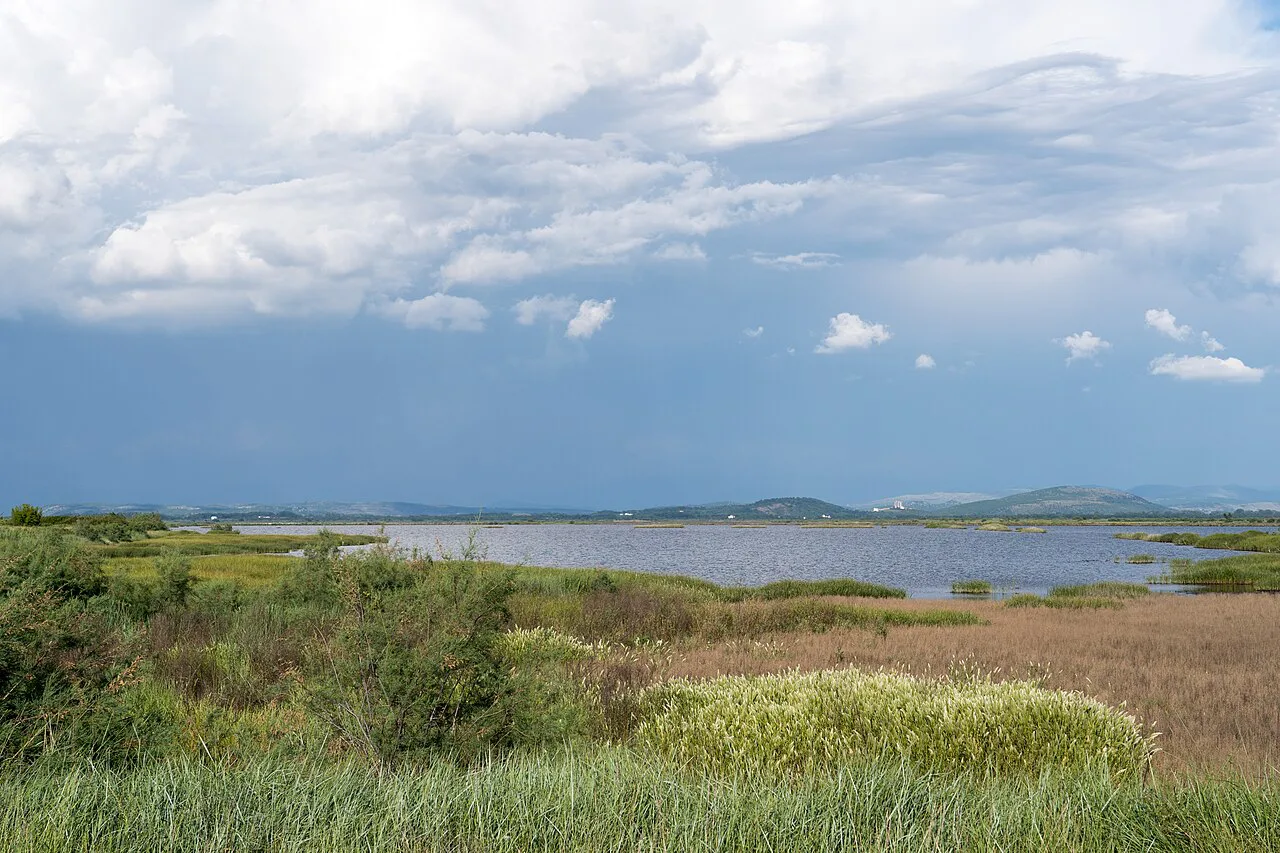 Reed beds and open water at Ulcinj Salina.