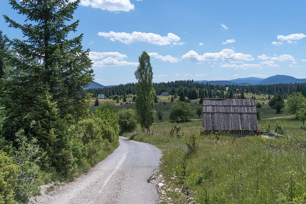 A country road through Podgora village in Žabljak Municipality.