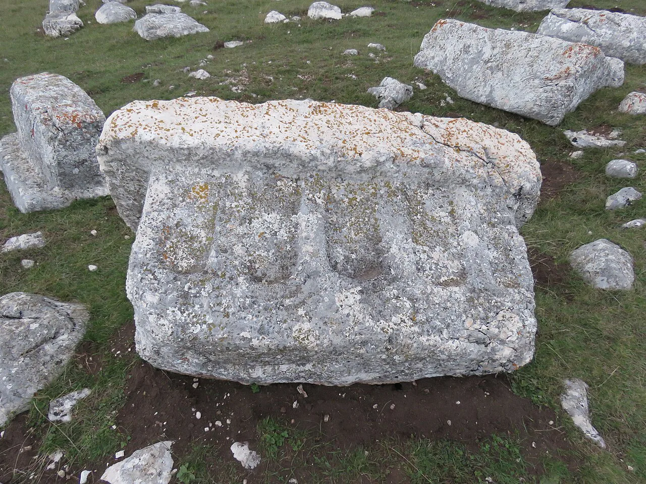 A stećak medieval tombstone south-east of Žabljak.